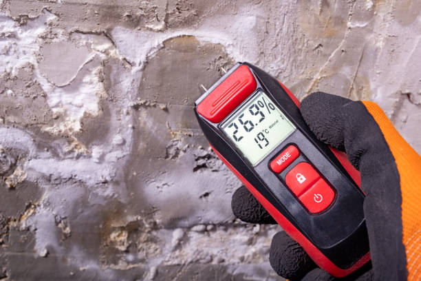 Best Toxic Mold Removal  in Moosup, CT