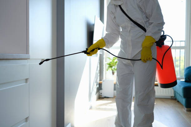 Best Fast Mold Removal  in Moosup, CT