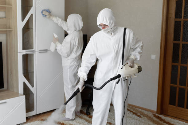 Best Office Mold Removal Services  in Moosup, CT