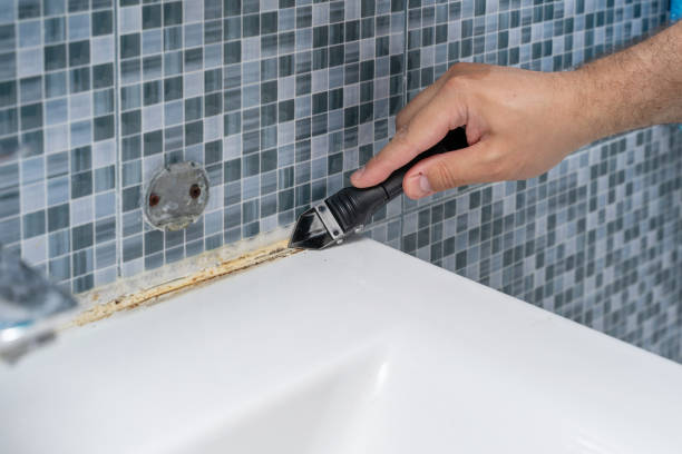 Best Mold Testing  in Moosup, CT