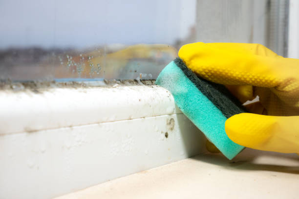 Moosup, CT Mold Removal Company